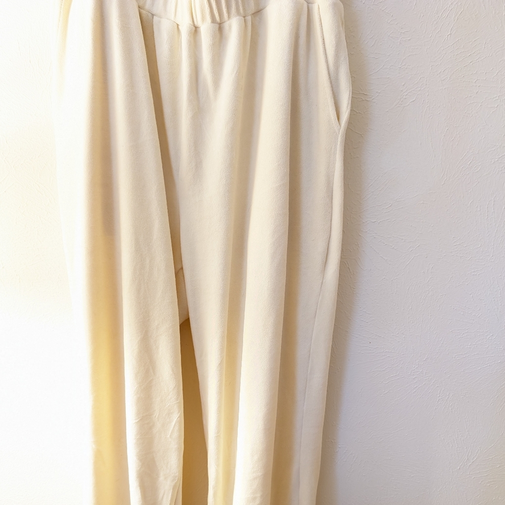 Plus Size Cider Velour Jogger Pant